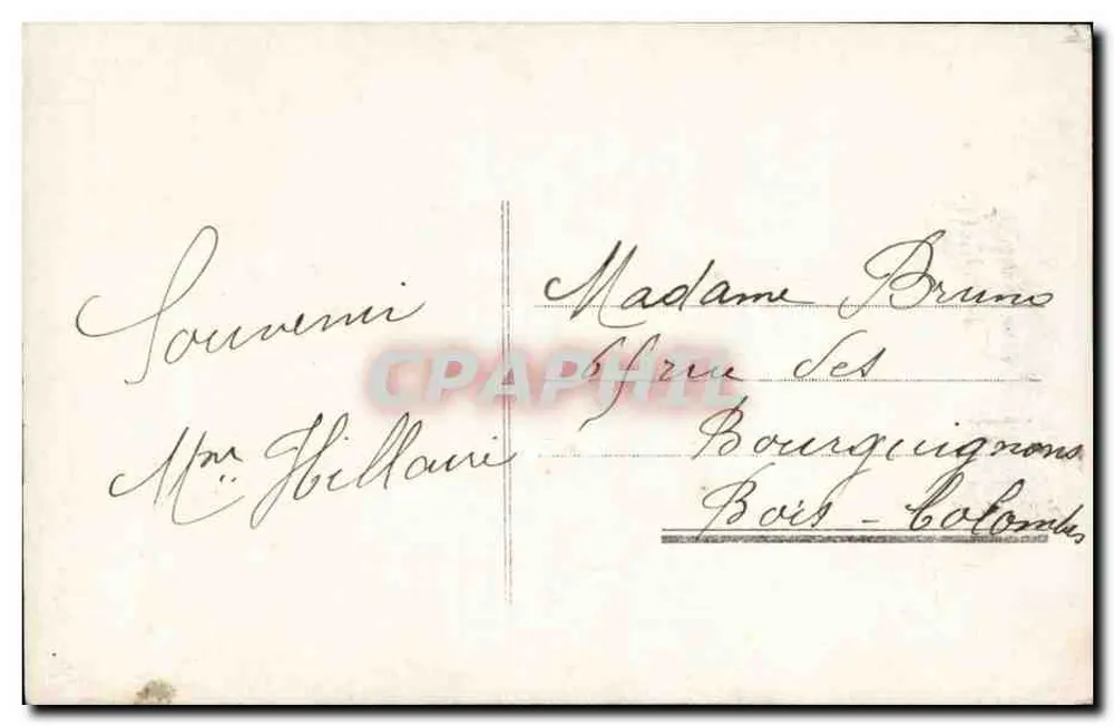 Blumenstrauß — Frohe Geburtstagsgrüße — Verlag V. LILLY, Nr. 10026 - Rückseite