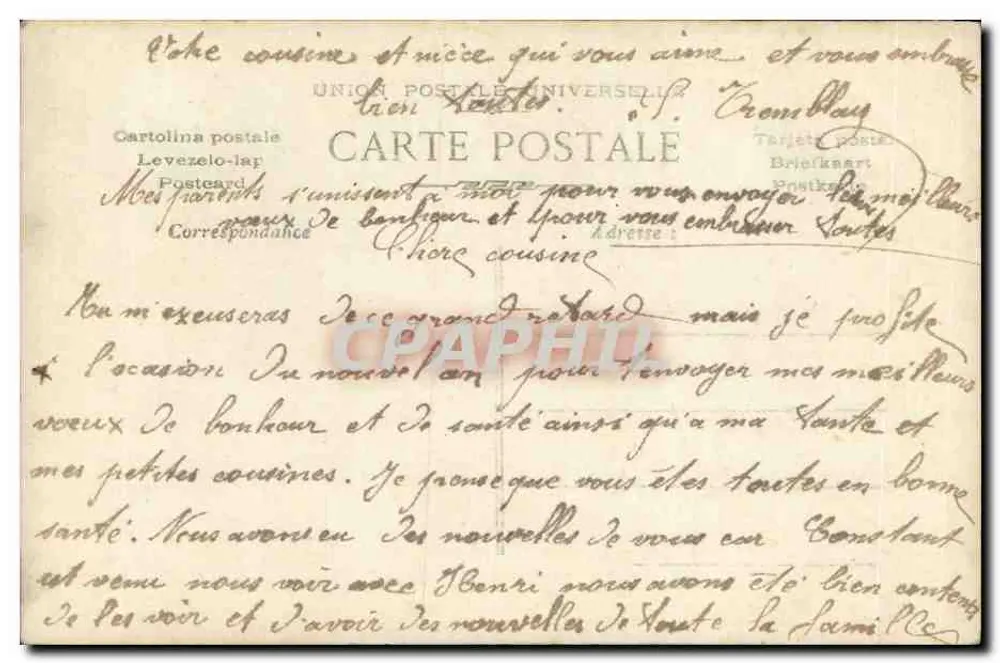Femme en robe bleue tenant des roses — Bonne Année — éditeur R. 3696 - Verso
