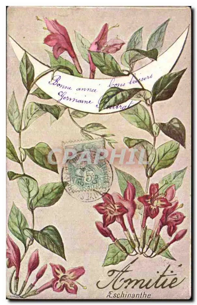Fleurs d'Eschinanthé — Amitié — Éditeur non visible - Recto