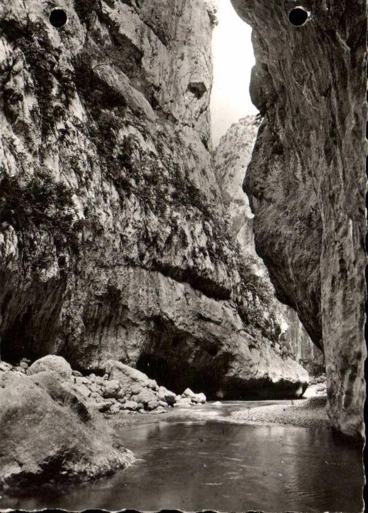 Entrada das Ralingues — carte postale n°10 - Frente