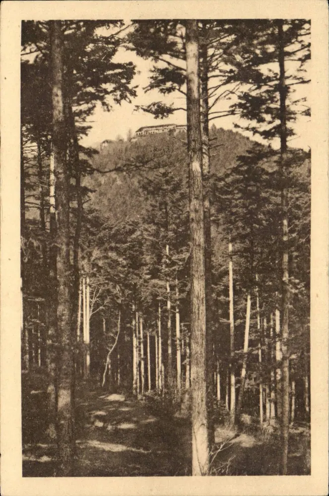Monte Sainte-Odile — vista del castillo en la cima — editor Félix Laib, Estrasburgo - Anverso