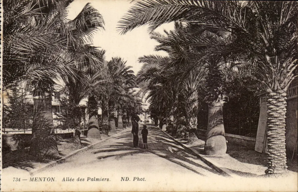 Menton — Avenida dos Palmeiras — ND. Fot. n°734 - Frente