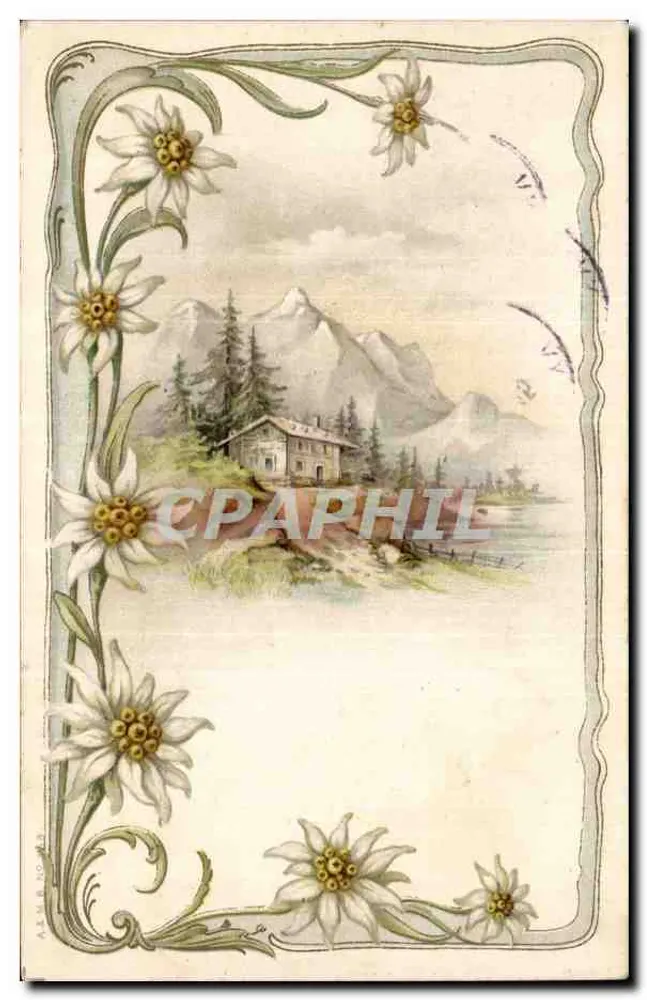 Paisagem alpina com chalé — decoração de flores de edelweiss — editor A. W. H. N. O. S. (n° 3) - Frente