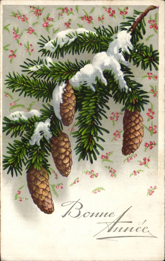 Schneeverdeckte Tannenzweige — Frohe Weihnachten — Verlag R. 9678 - Vorderseite