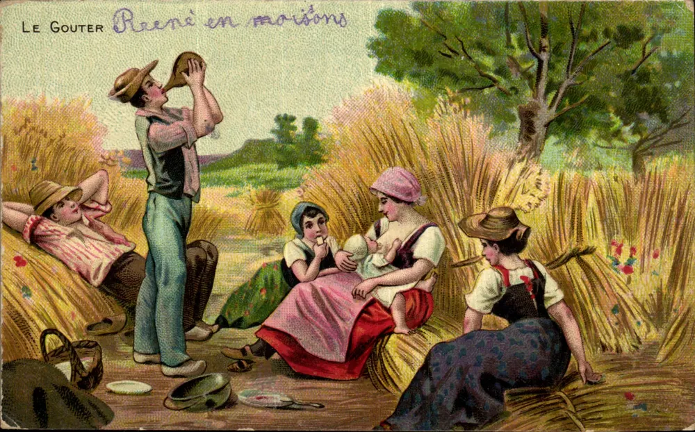 O Piquenique — Peené em colheitas — Carolina Postale - Frente