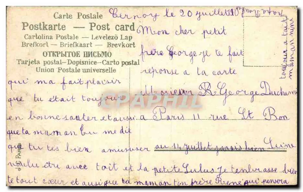 O Piquenique — Peené em colheitas — Carolina Postale - Verso