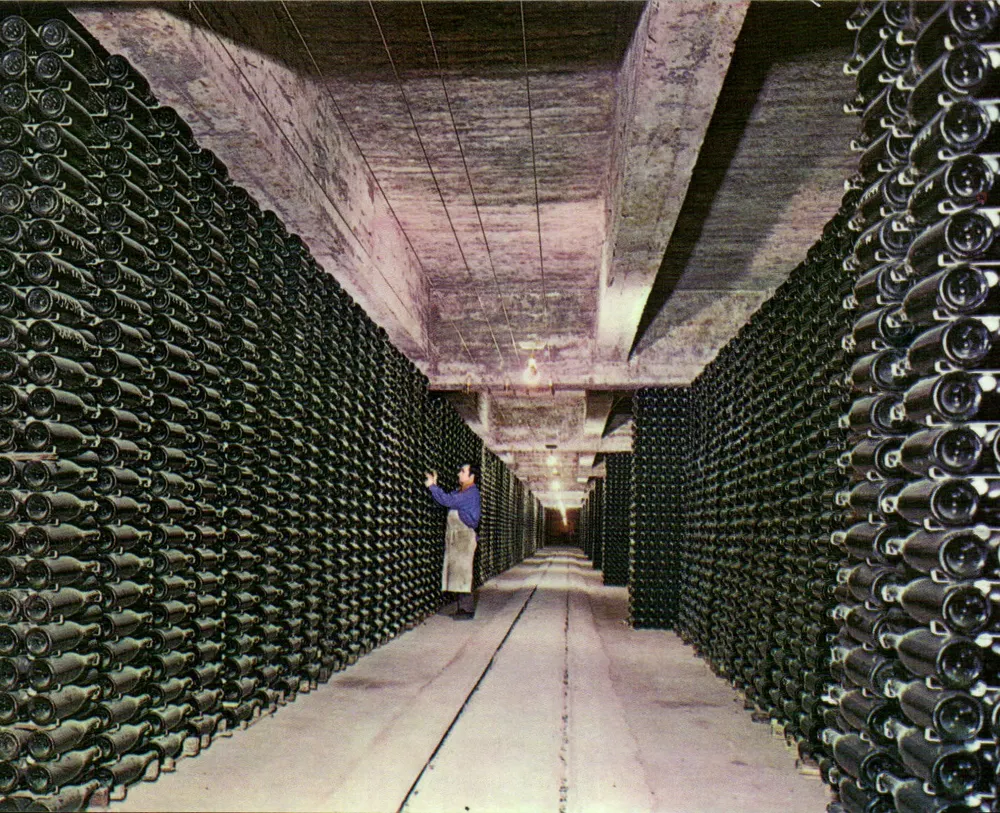 Keller der Casa Codorniu — Flaschen von cavas im Reifeprozess — Casa Codorniu - Vorderseite