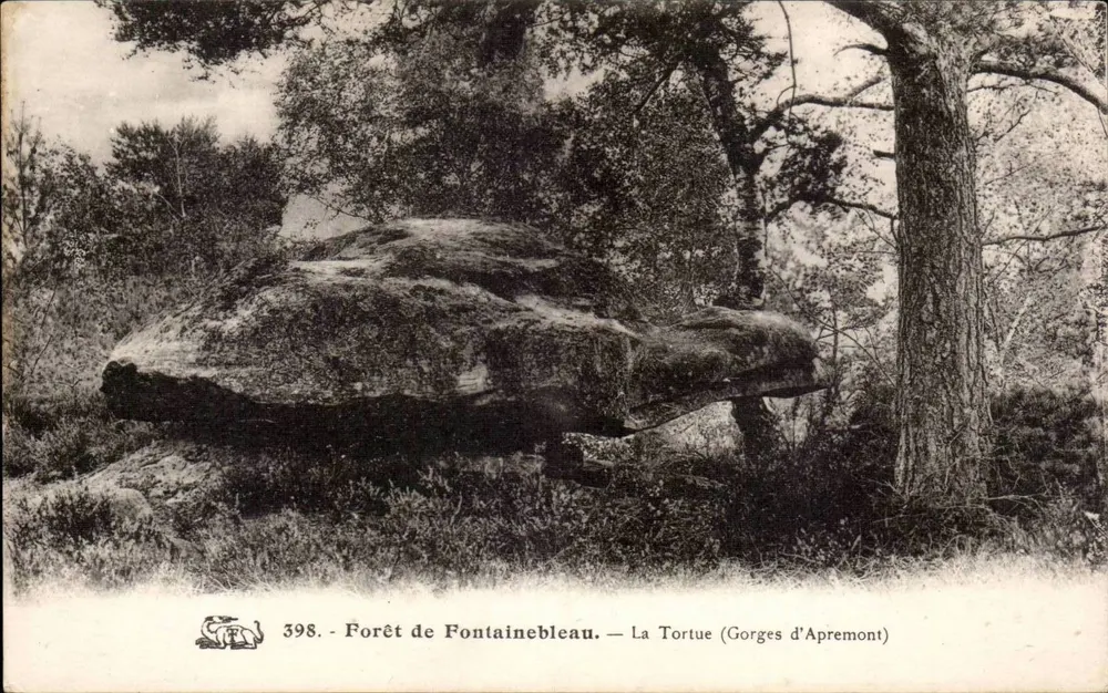 Die Schildkröte (Gorges d'Apremont) — Forêt de Fontainebleau — Nr. 398 - Vorderseite