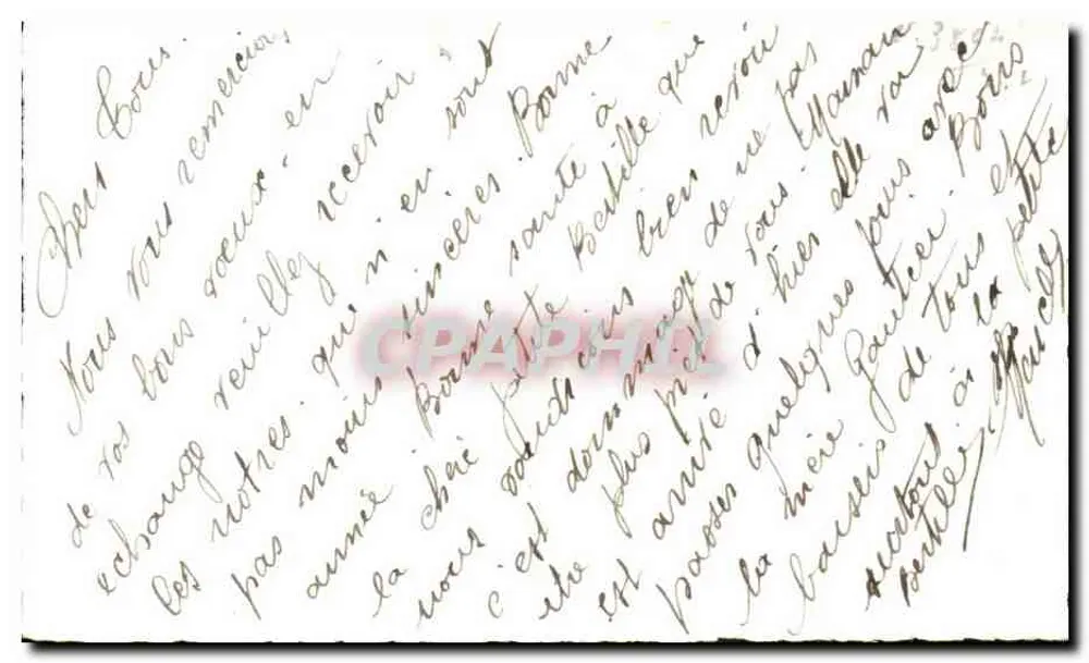Schneekätzchen und Welpen — Frohes Neues Jahr — Lucien Andry - Rückseite