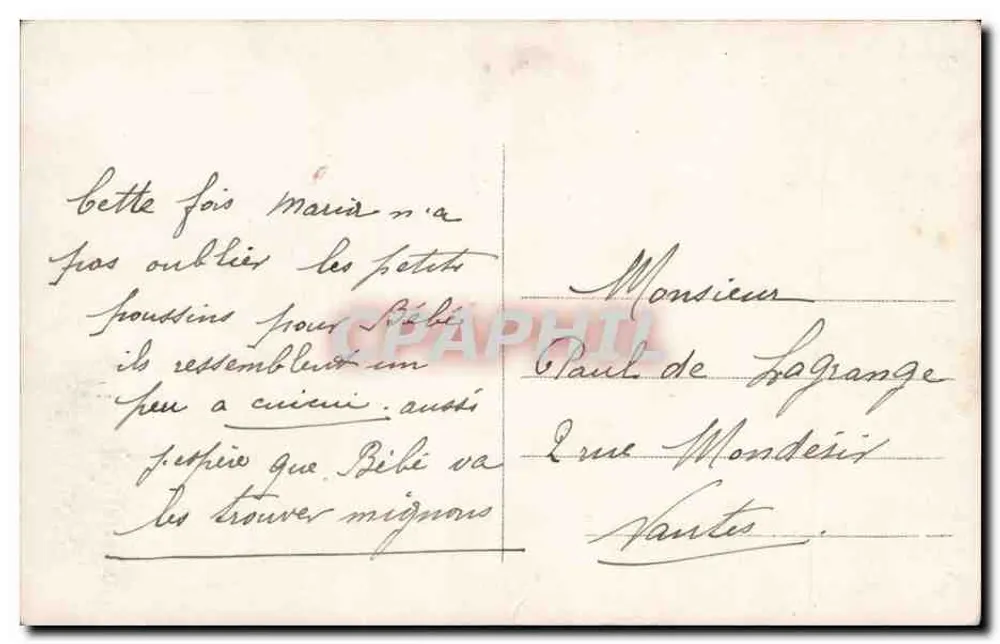 Páscoa com Corujas — ovo decorado, filhotes e rosas — A.N. Paris, n°1695 - Verso
