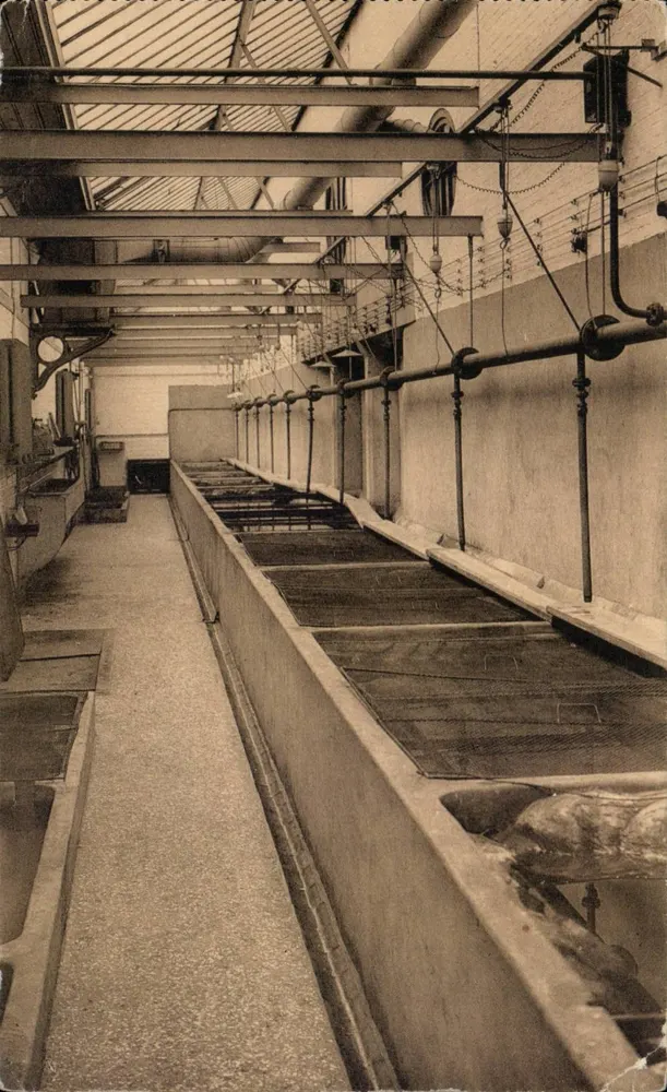 Antwerpen — Zoo — Aquarium — Ein Dienstcorridor - Vorderseite