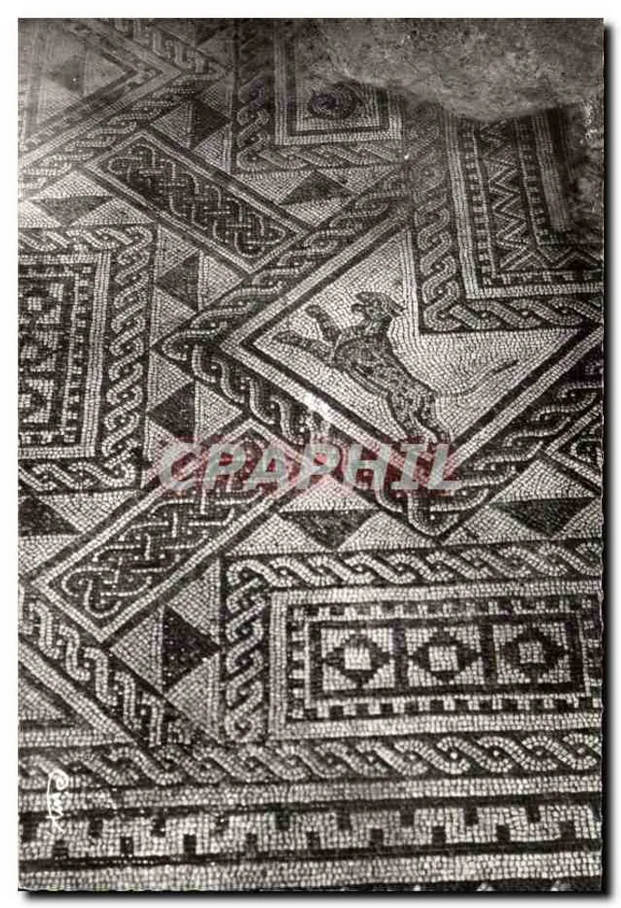 Grand (Vosges) — Ansicht eines Teils der römischen Mosaik — Fotograf Combier - Vorderseite