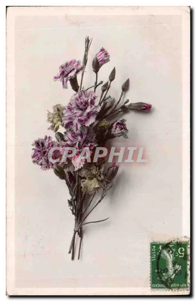 Bouquet de flores de pâquerettes secas — VBC Série N. 3237 — Marca 'ETOILE' Paris - Frente