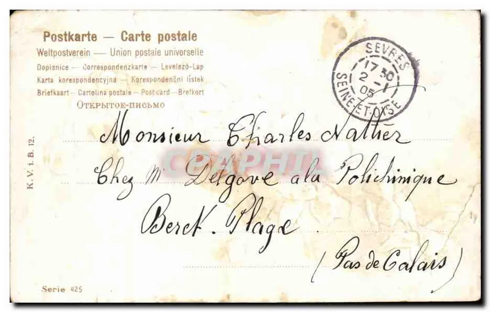 Flores amarelas em um bosque de carvalhos — Sevres, série 425 — União Postal Universal - Verso