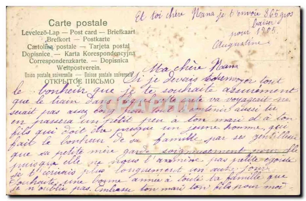 Blumen und Kleeblätter — Geburtstag — Frohes Neues Jahr 1906 — Unbekannter Verlag - Rückseite