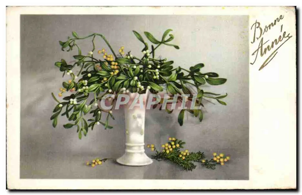 Mistral in einem Vase — Neujahrskarte — Verlag REGOS ELITE 4118 - Vorderseite