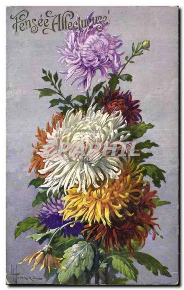 Chrysantemen — 'Vriendelijke Gedachte' — Hingrez, uitgever Sid's Edition, serie Polychrome, nr. 1035 - Voorkant