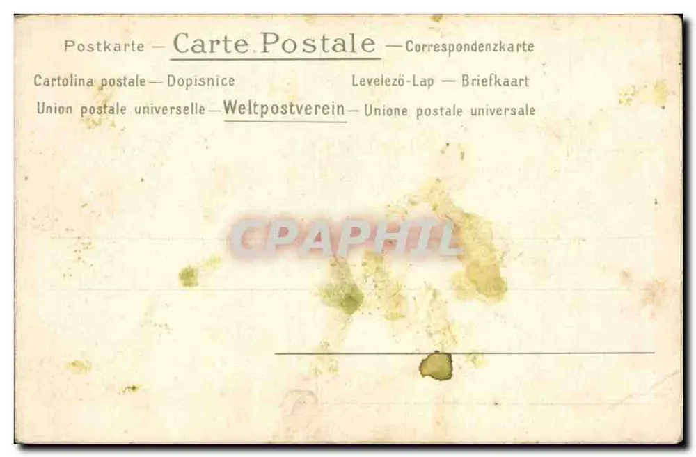 Casais jovens em traje de baile — cena de floresta — editor Union postale universelle - Verso