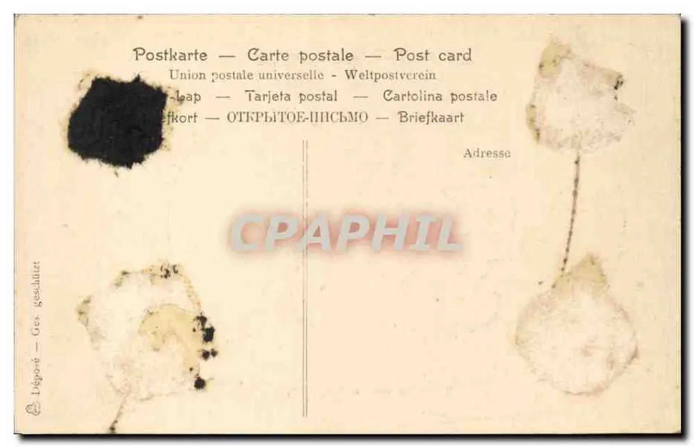 Elegantes Paar — gerahmte Illustration von Rosen - Rückseite
