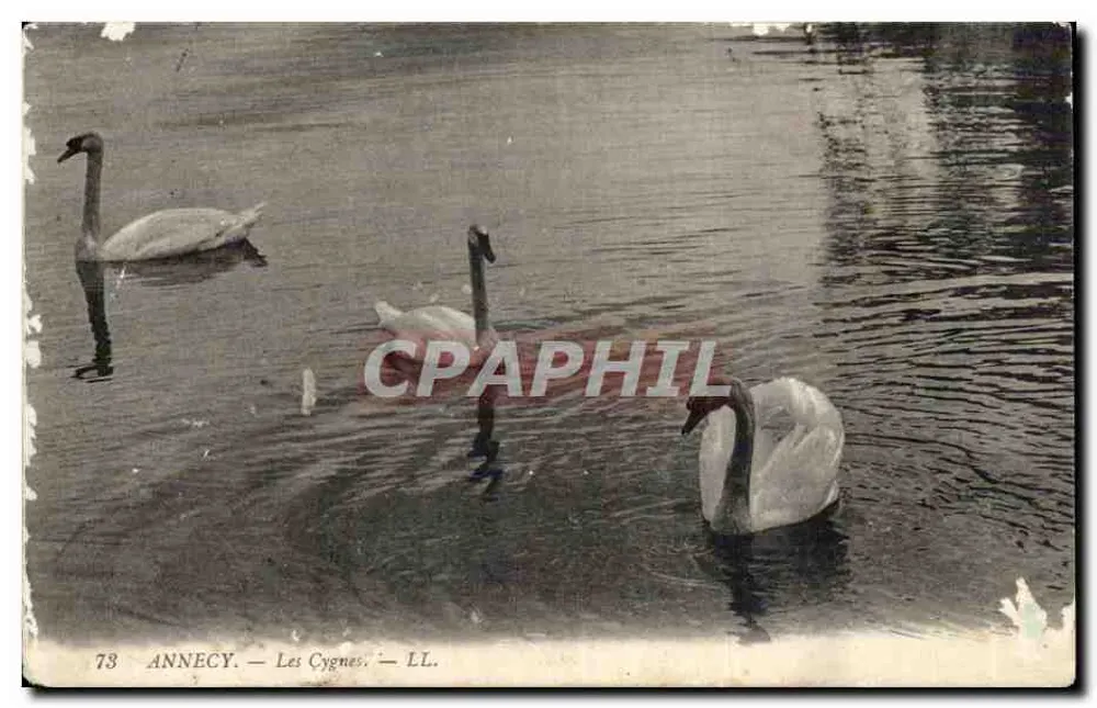 Annecy — Os Cisnes — LL. n°73 - Frente