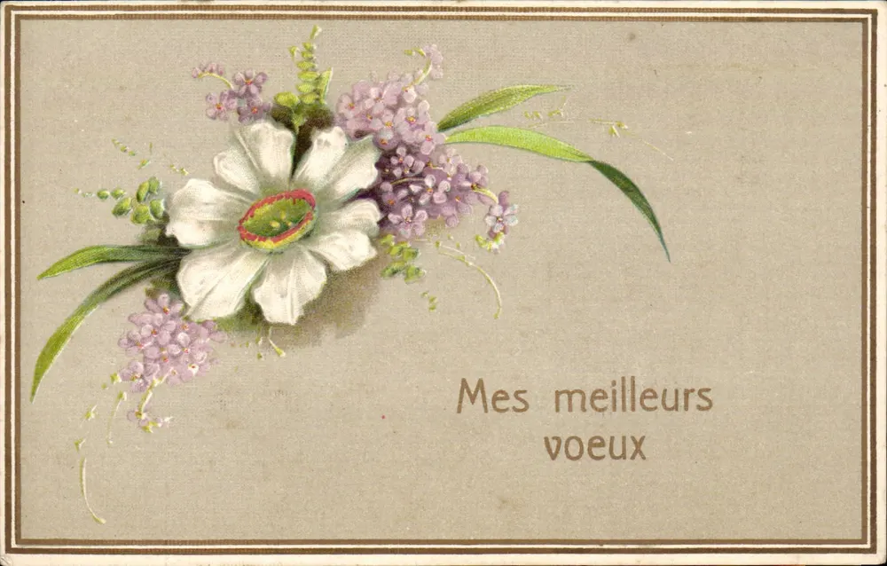 Flores — buquê de narciso e jasmin — carta postal - Frente