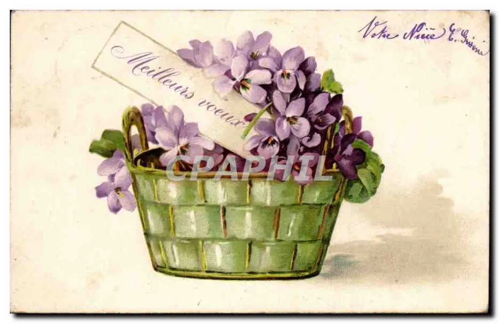 Violetas em um cesto — Melhores desejos — K.F. ÉD. PARIS - Frente