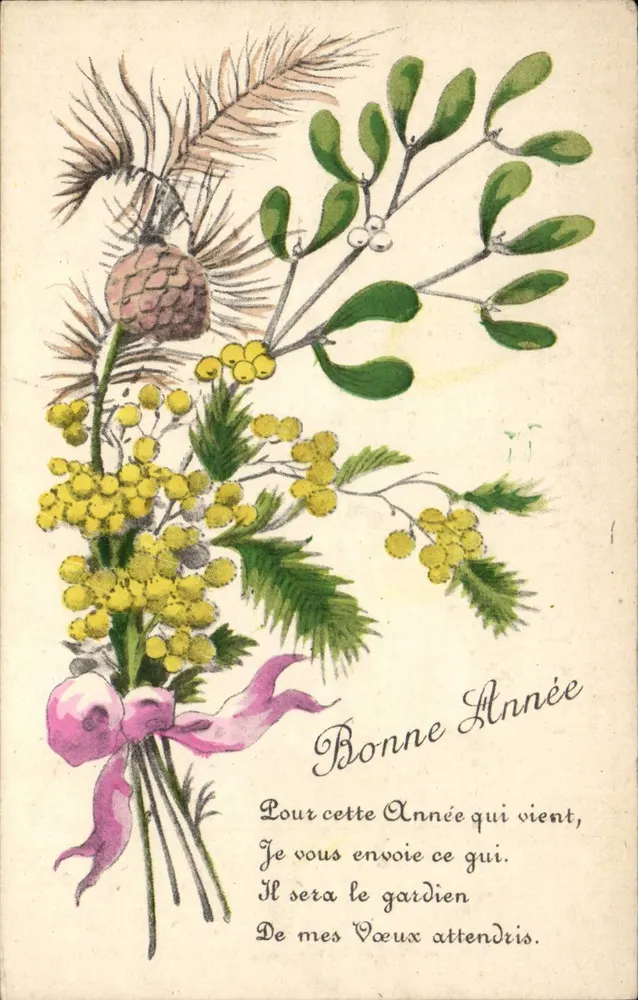 Blütenstrauß aus Moos, Holunderbeere und Mimose — Frohe Neujahr — G. Harel, Paris - Vorderseite