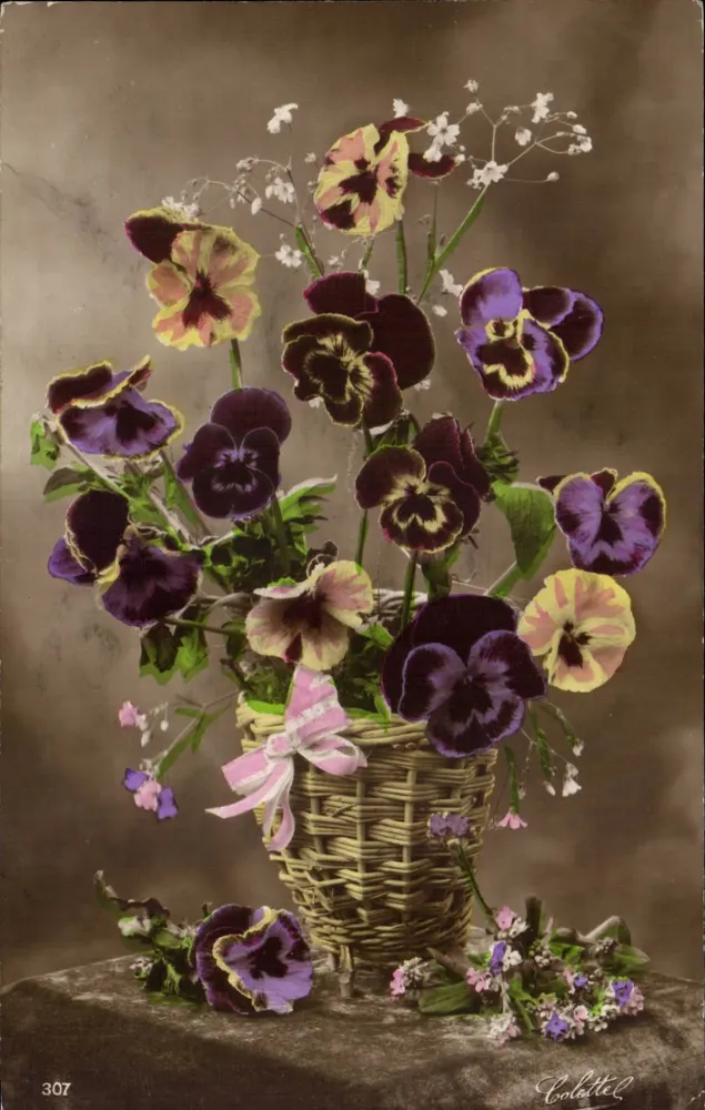 Bouquet van viooltjes en gypsophile — Colbittel, n° 307 - Voorkant