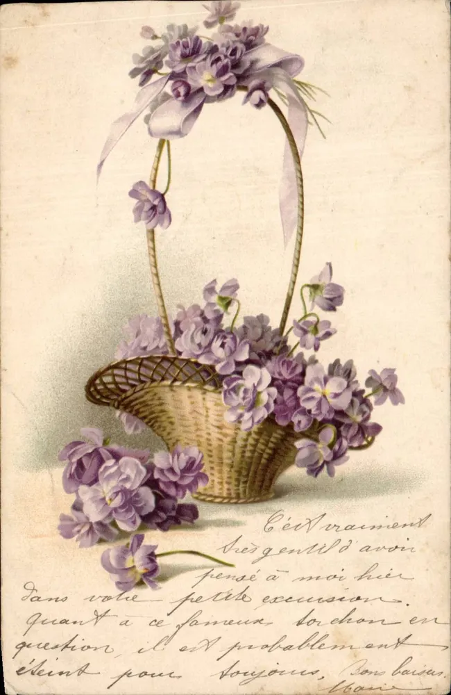 Arranjo de violetas em um cesto — editor não identificado, número de série não visível - Frente