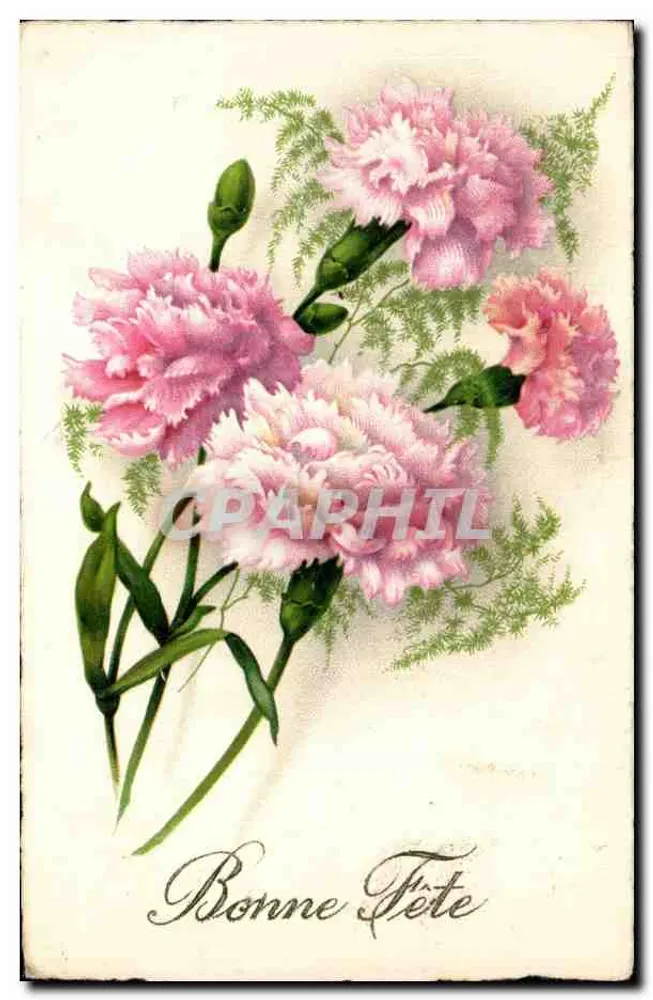 Arranjo de pêssegos rosa — Boa Festa — sem editor e número visíveis - Frente