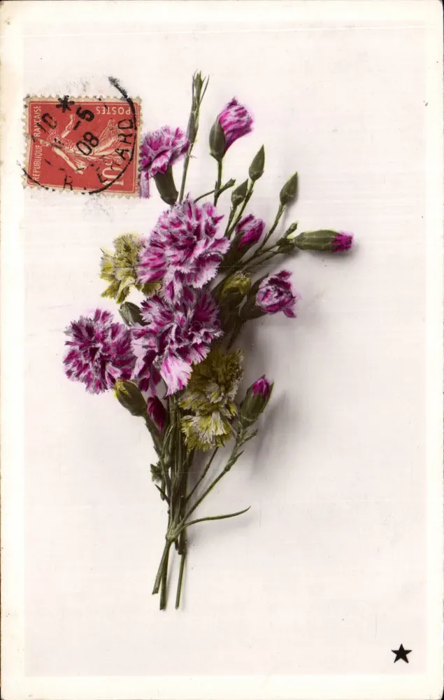 Arranjo de pântano e flores violetas — editor VBC, série N° 3237 - Frente