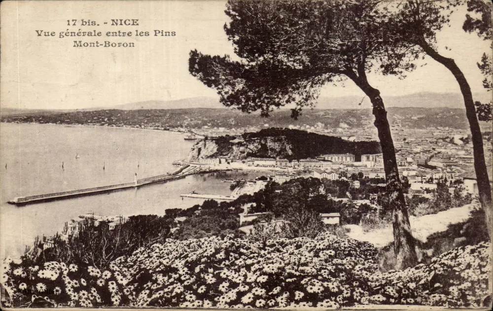 Nice — Vue générale entre les Pins Mont-Boron — I. Gilletta et Cie, Nice - Vorderseite