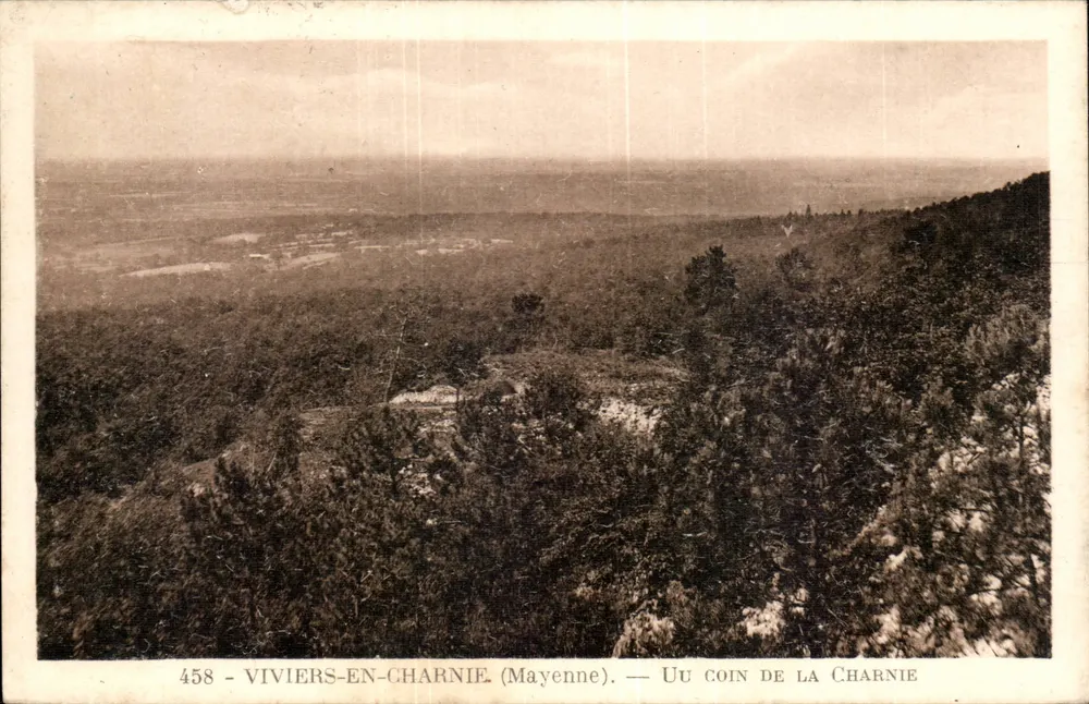 Viviers-en-Charnie (Mayenne) — Ansicht der Ecke der Charnie — A. Froger, Verlag, Nr. 458 - Vorderseite