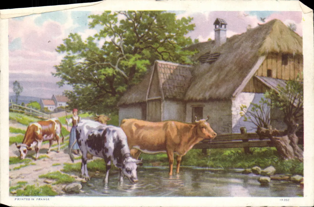 Landschaft mit Kühen — Frankreich — Serie 19368 - Vorderseite
