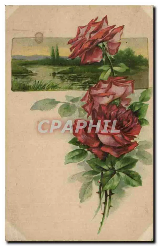 Arranjo de rosas — paisagem fluvial — n° 9957 - Frente