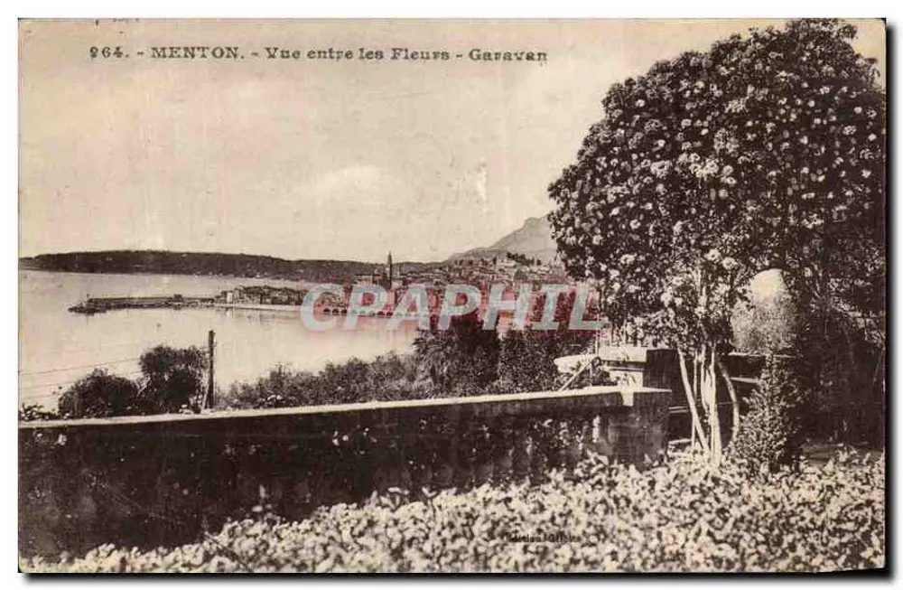 Menton — Vista entre as Flores — Garavan — Editora Giletta, Nice, n° 290 - Frente