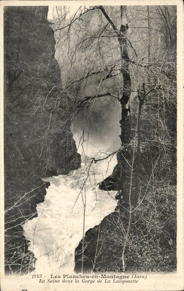 La Saine in der Schlucht von La Langouette — Les Planches-en-Montagne (Jura) — B.P. Paris n°1113 - Vorderseite