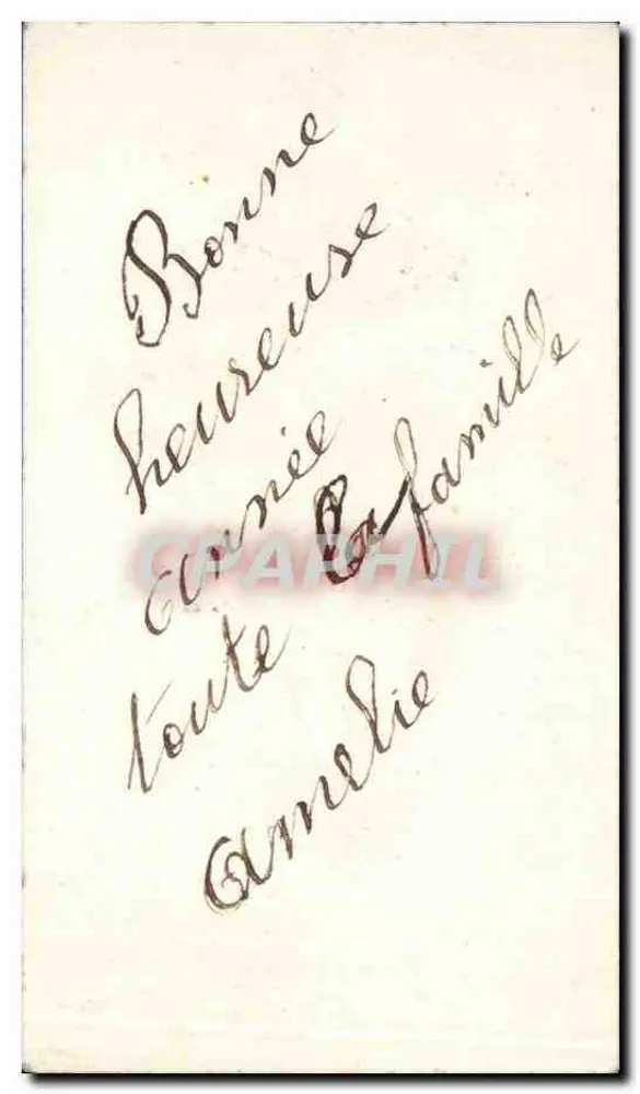 Bouquet de pivoines — Felicitações — sem editor ou número visível - Verso