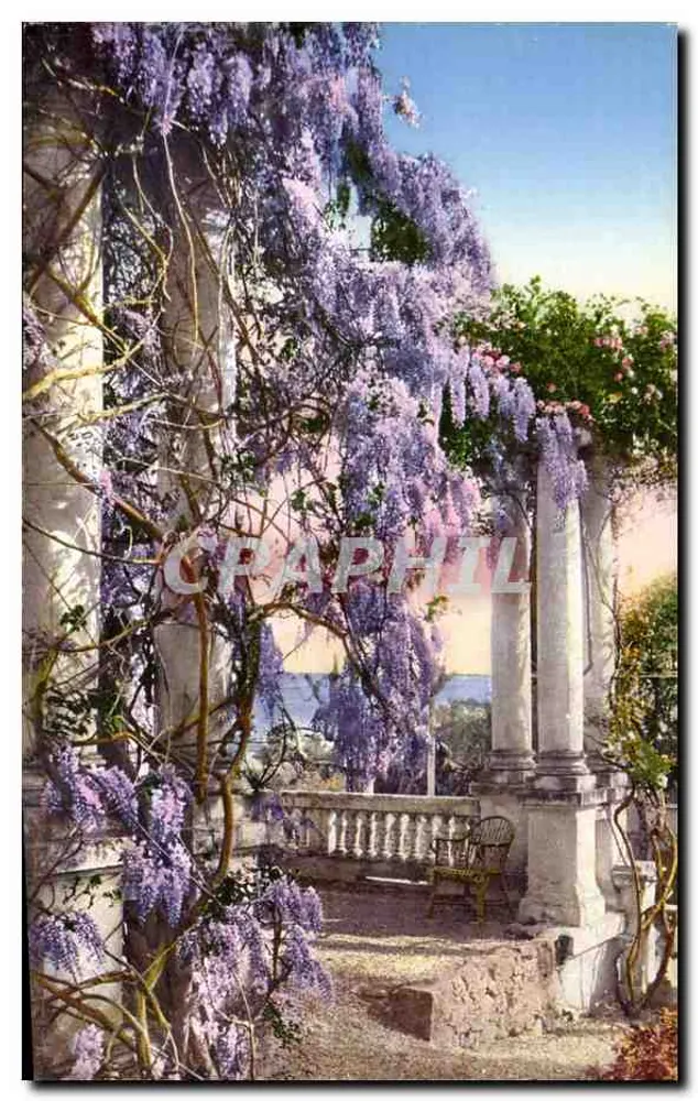 Garten mit Säulen — Wisteria in Blüte — Edit. Brunner & C., Como - Vorderseite