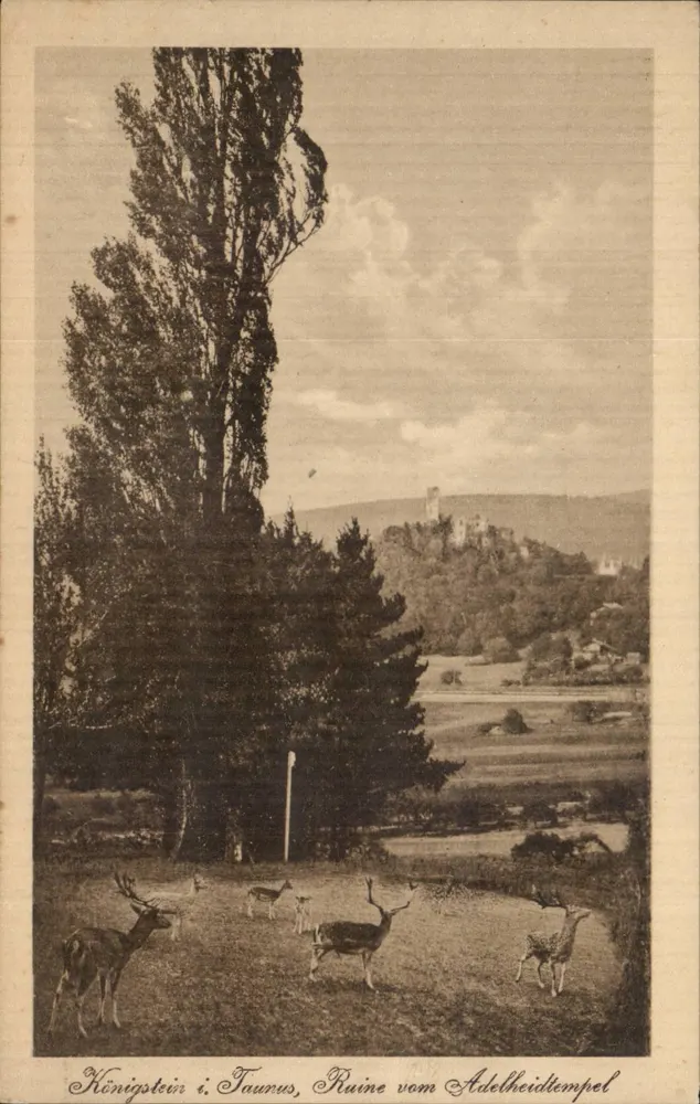 Königstein i. Taunus — Ruine des Schlosses Adelheidtempel — Ludwige Kauani, Druck v. Verlag - Vorderseite
