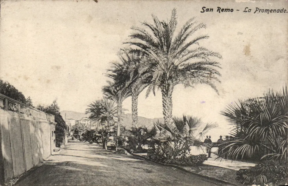 San Remo - Die Promenade — Ansicht der Promenade mit Palmen — Librairie Papeterie I. Branske e Gandolfo Fils - Vorderseite