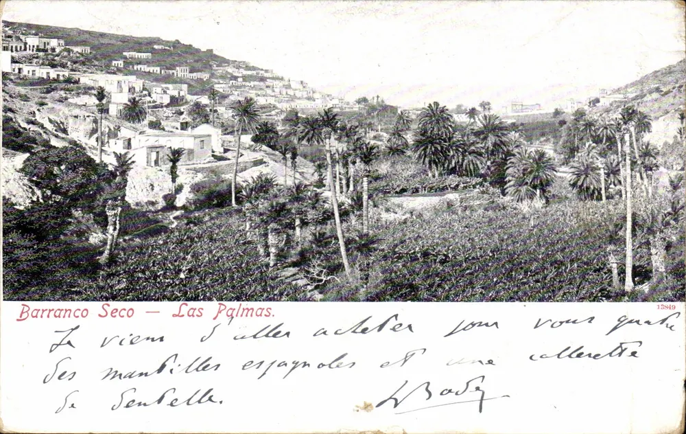Barranco Seco — Las Palmas. — Le manbilles espagnoles et une collerette - Recto
