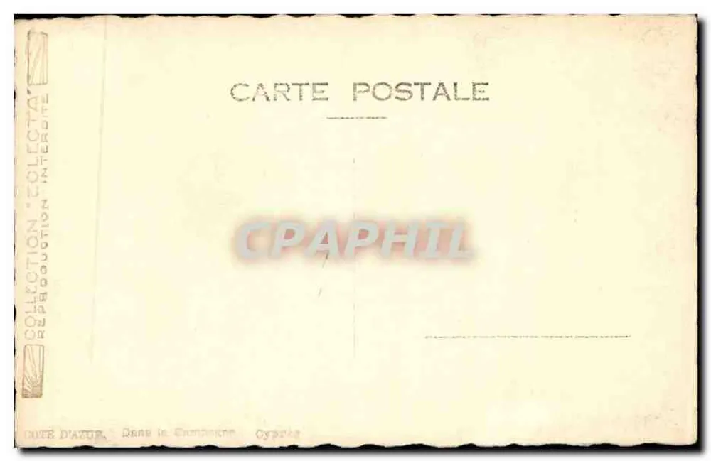 Cipres — Paisaje mediterráneo — Colección D'Azur, Costa Azul, Francia - Reverso