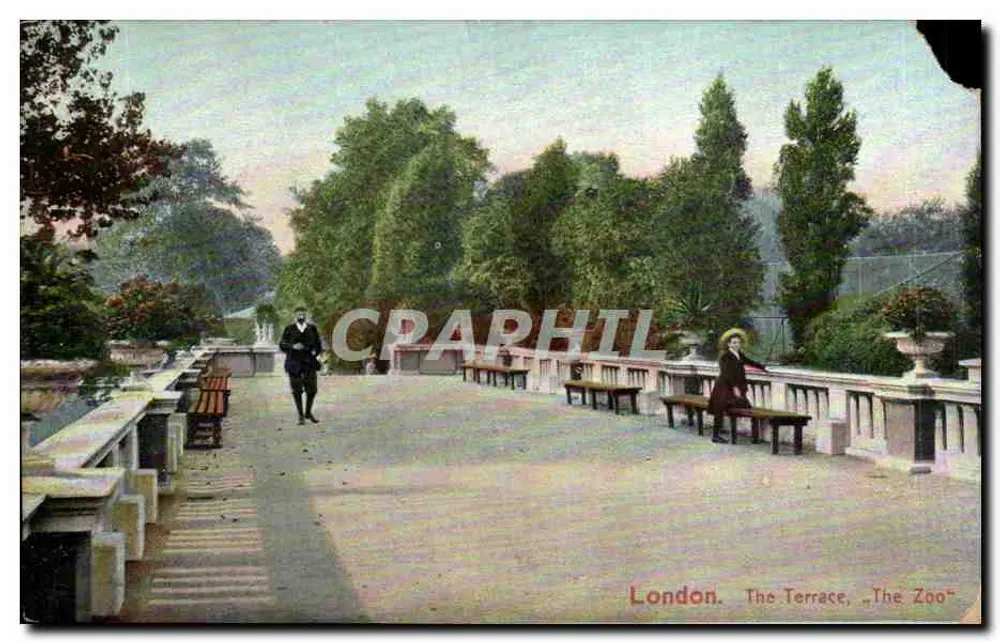 London. Die Terrasse, "Der Zoo" — Serie E.F.A. ZOO — In Sachsen gedruckt - Vorderseite