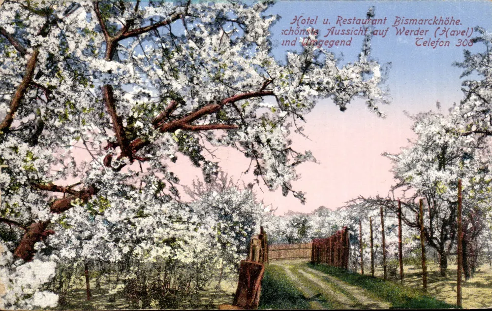 Hotel u. Restaurant Bismarckhöhe — Frühlingssicht mit Blüten — Verlag Graphische Kunstanstalt Max Oßlein, Berlin C.2, Nr. 1406 - Vorderseite