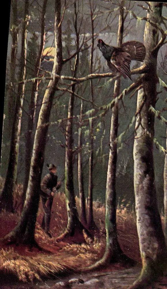 Cazador en el bosque — pájaro posado — editor no identificado, serie 1923/2 - Anverso
