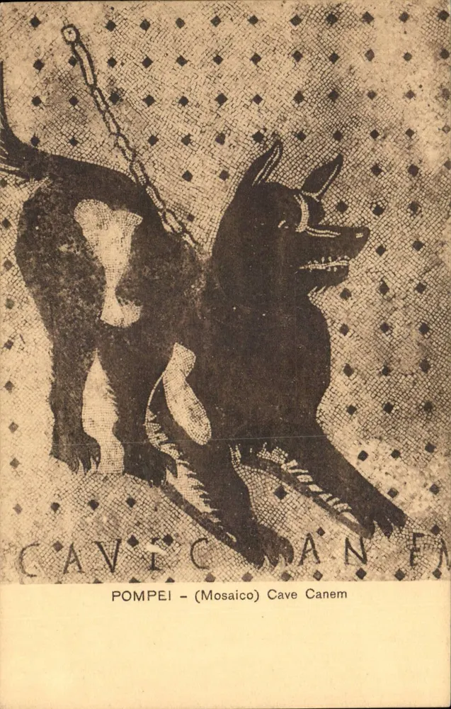 Pompei — Mosaik Cave Canem — Verlag Trampatti & Migliaccio, Rom - Vorderseite