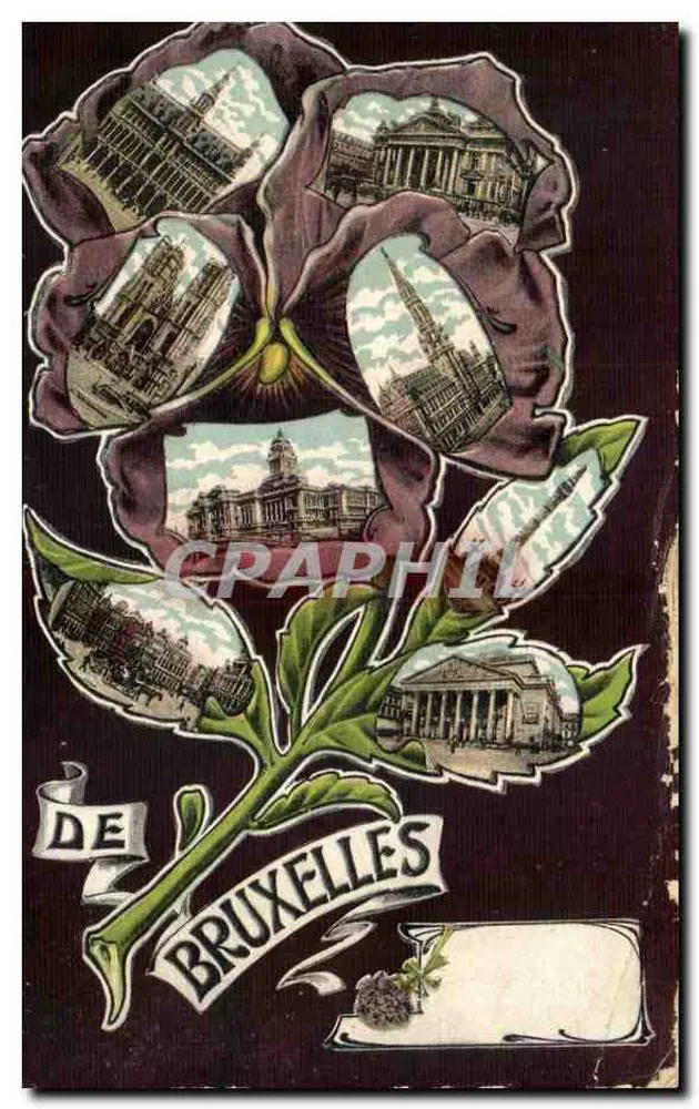 Bruxelas — vista floral com monumentos — editor desconhecido - Frente