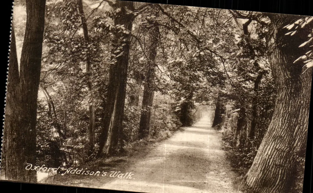Oxford, Addison's Walk — seria Frith, nr 40223 - Awers