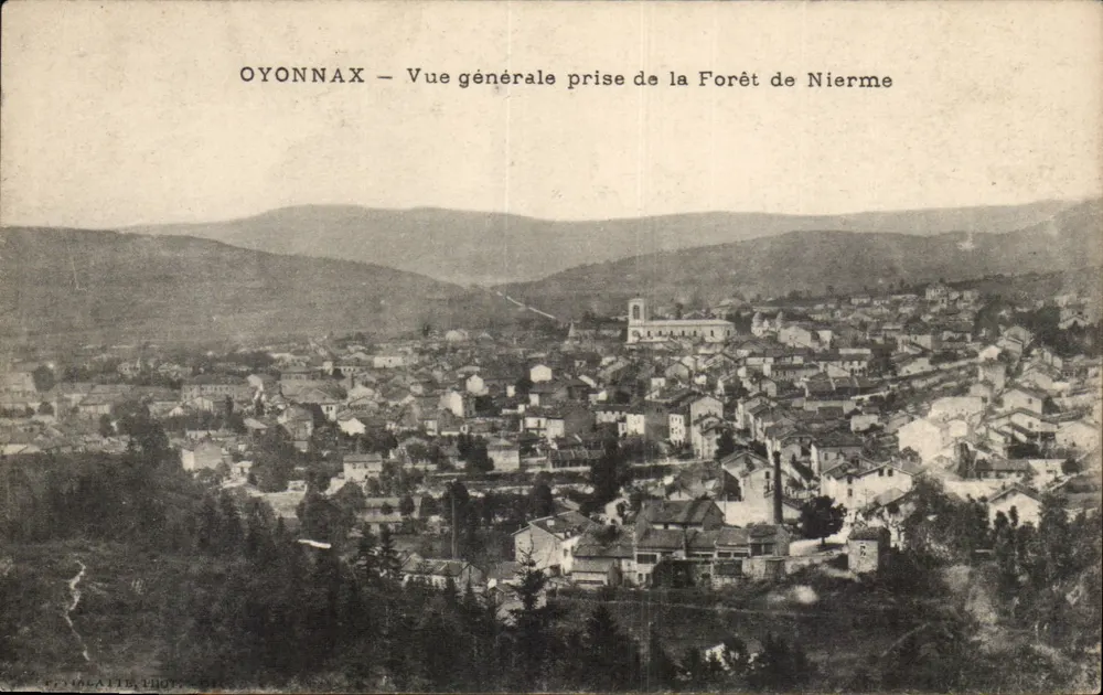 Oyonnax — Allgemeiner Blick vom Wald Nierme — Verlag Crislatte, Lyon - Vorderseite